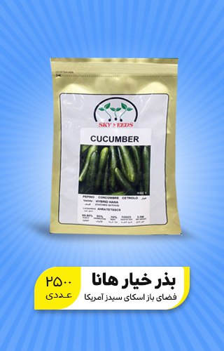 بذر خیار فضای باز هانا اسکای سیدز آمریکا 2500 عددی
