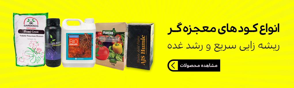 کودهای ریشه زایی و رشد غده