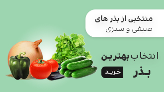 فروش بهترین بذر صیفی و سبزی
