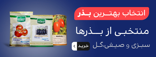 انتخاب بهترین بذر